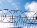 Zasieki płaskie z drutu ostrzowego - przykład montażu na ogrodzeniu panelowym